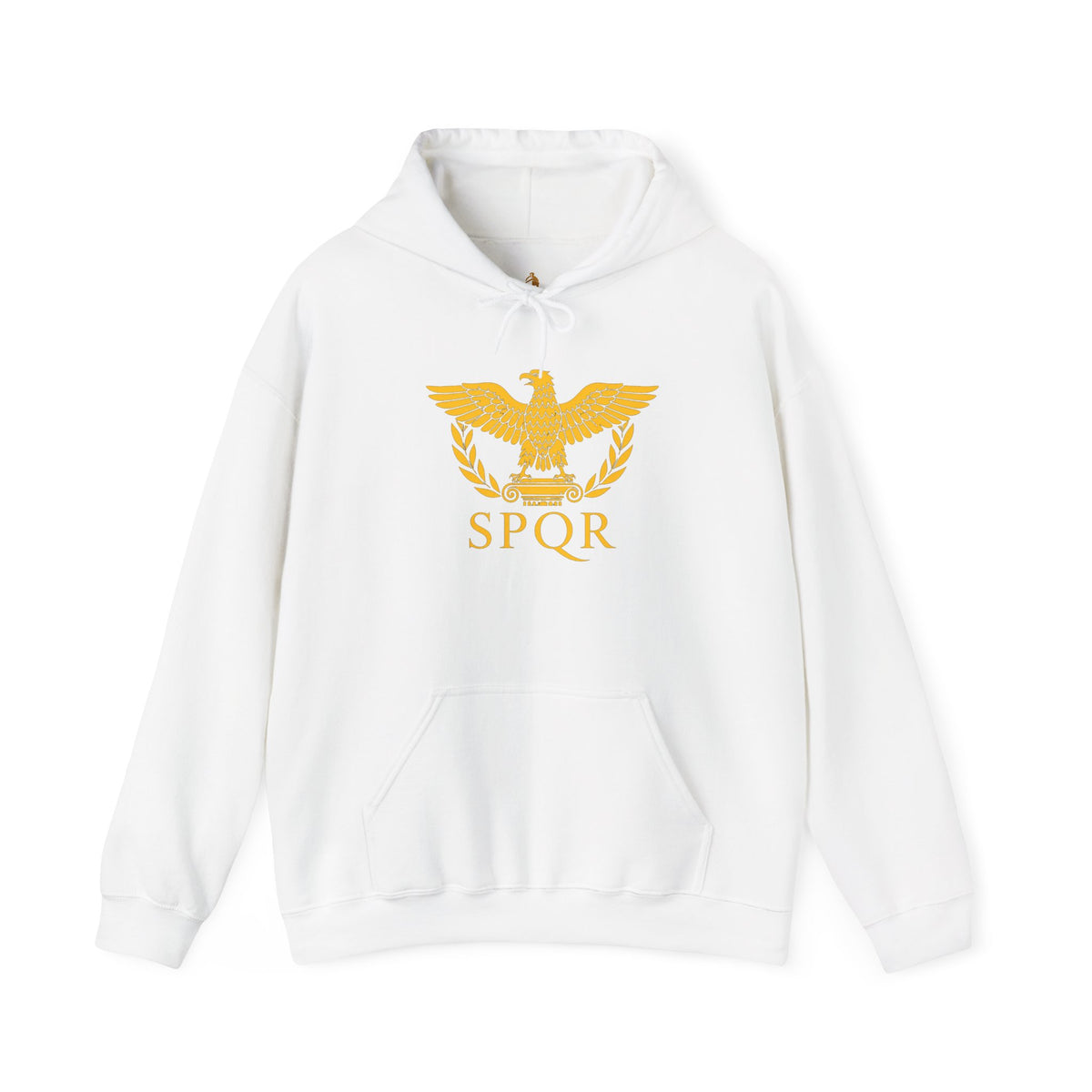 Roman Empire Hoodie with Caesar 'Veni, Vidi, Vici' Statue Print